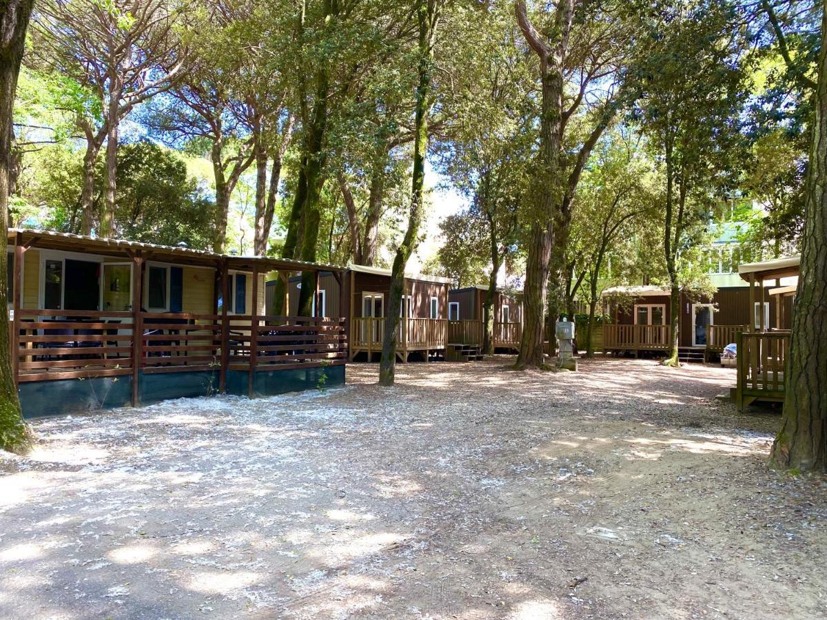 Dena Chalets - Lido Di Spina At The Beach Ngoại thất bức ảnh